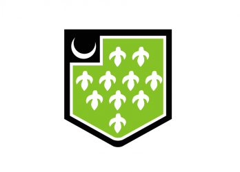 Martock United FC badge